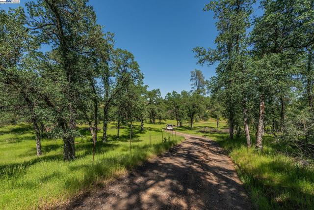 21679 Squaw Grass Trail, Redding CA: https://media.crmls.org/mediaz/c9a19686-6a91-4388-a10c-0b7c285944fa.jpg