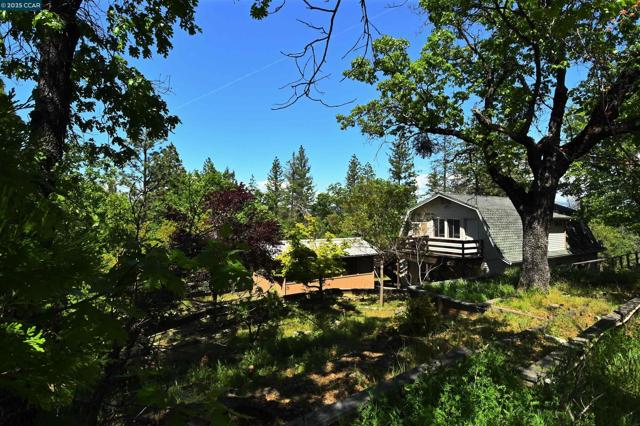 9687 Manzanita Way, Coulterville CA: https://media.crmls.org/mediaz/c9a59667-3783-4f83-a511-40d82d0c5043.jpg