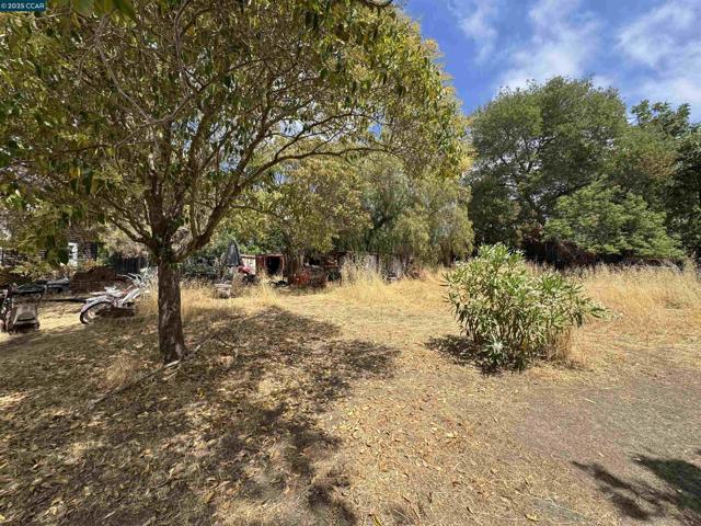 22490 Bayview Ave, Hayward CA: https://media.crmls.org/mediaz/c9a7b68b-ff9e-4f6f-ad01-6b8ea490659f.jpg