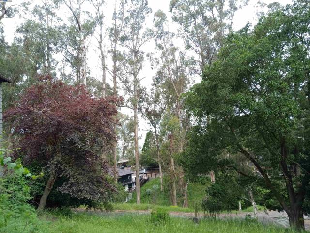 1375 Queens Road, Berkeley CA: https://media.crmls.org/mediaz/c9b3dbdd-5531-466f-b22c-073367c009ba.jpg