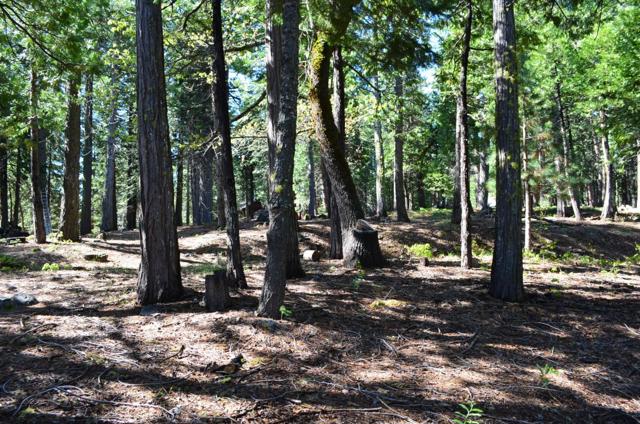 3112 Apache Road, Dorrington CA: https://media.crmls.org/mediaz/c9c28369-7569-4ab7-8c23-2267b6085e2e.jpg