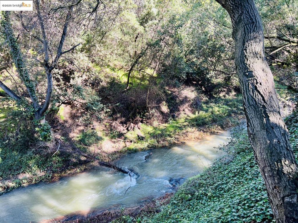 https://media.crmls.org/mediaz/c9c57de2-d51b-4b6a-9a42-b5f6718d2ec2.jpg?preset=X-Large