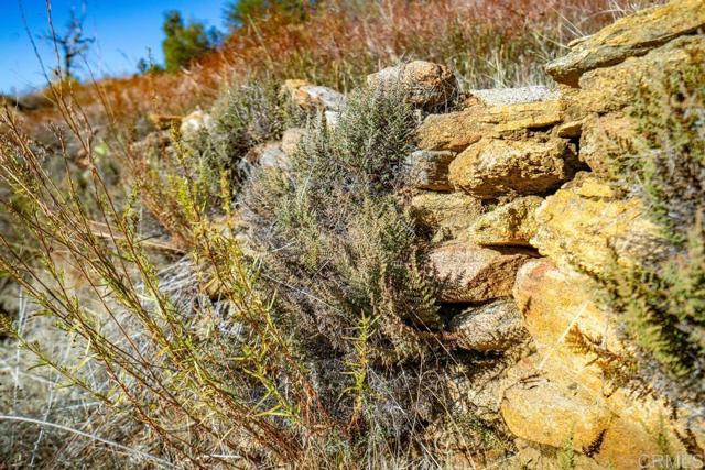 Detail Gallery Image 14 of 33 For 0 State Park Rd, Palomar Mountain,  CA 92060 - – Beds | – Baths