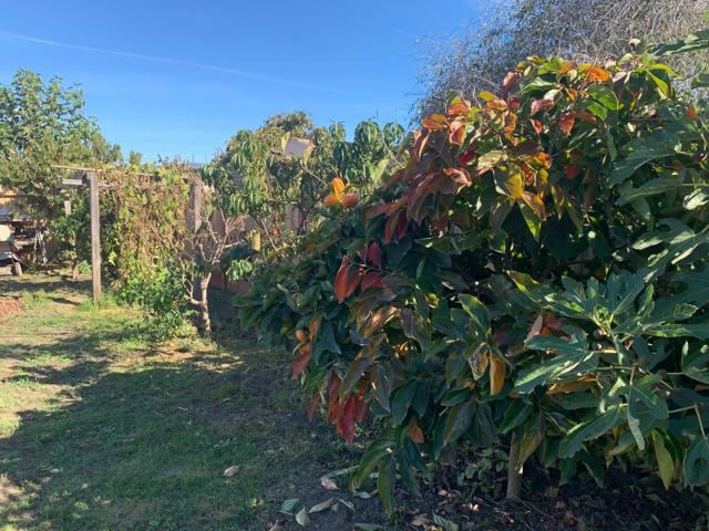 166 Afton Road, Salinas CA: https://media.crmls.org/mediaz/c9d751ff-6b0e-4d11-b809-8a9ab280c571.jpg