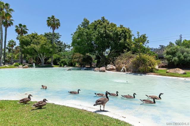 5705 Friars Rd, San Diego CA: https://media.crmls.org/mediaz/c9d92d8e-9a90-4058-be8c-f393120c7e41.jpg
