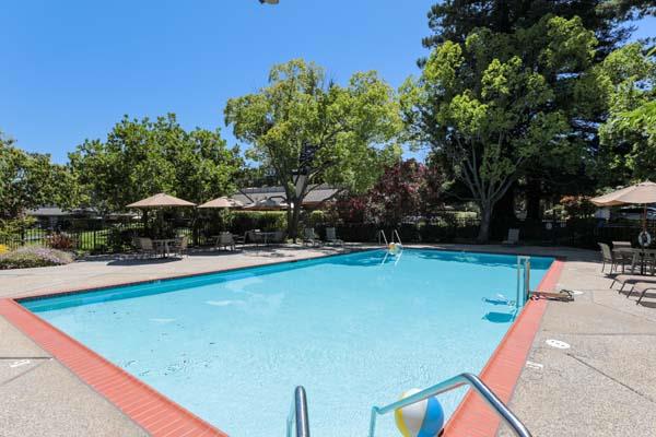 23 Bay Tree Lane, Los Altos CA: https://media.crmls.org/mediaz/c9dcd768-714d-496a-b976-6ba74564cbc1.jpg