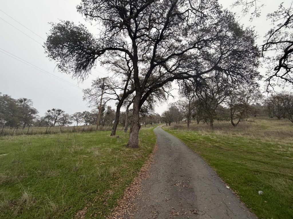 https://media.crmls.org/mediaz/c9e34016-99fa-4ea7-bb3e-11499a040700.jpg?preset=X-Large