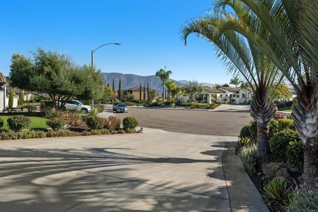 Detail Gallery Image 52 of 72 For 3193 Corte Carlazzo, Chula Vista,  CA 91914 - 4 Beds | 3/1 Baths