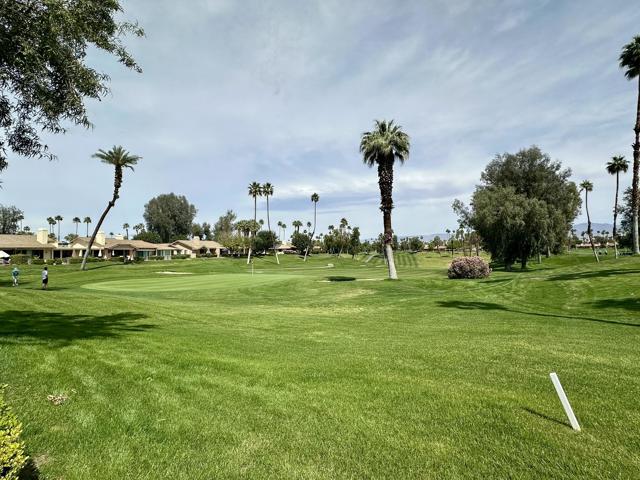 138 Gran, Palm Desert CA: https://media.crmls.org/mediaz/c9f9c8d5-2272-4c3b-a012-87b538d16b17.jpg