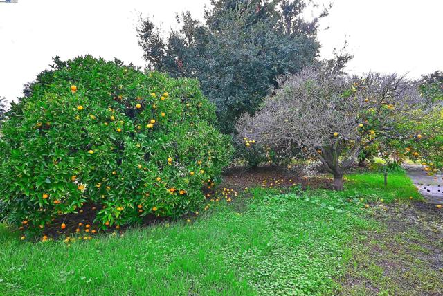 Image 33 of 51 For 181 Lewelling Blvd