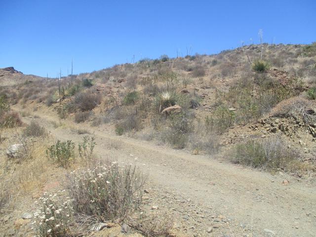 28 Hughes Canyon, Acton CA: https://media.crmls.org/mediaz/ca1049b0-863a-41c4-883c-7e36620d1086.jpg