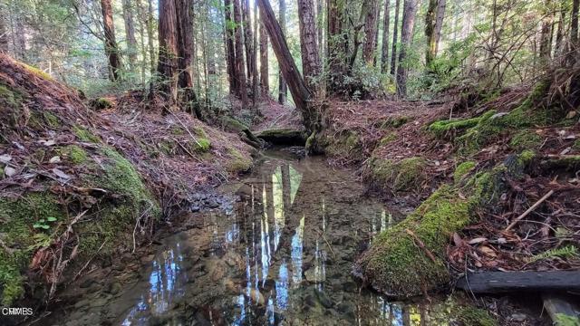 Detail Gallery Image 13 of 25 For 26030 Comptche Ukiah Rd, Comptche,  CA 95427 - – Beds | – Baths