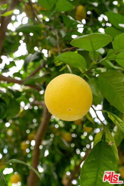 https://media.crmls.org/mediaz/ca291bc7-1da7-47fa-9313-fa6e671728a9.jpg?preset=X-Large