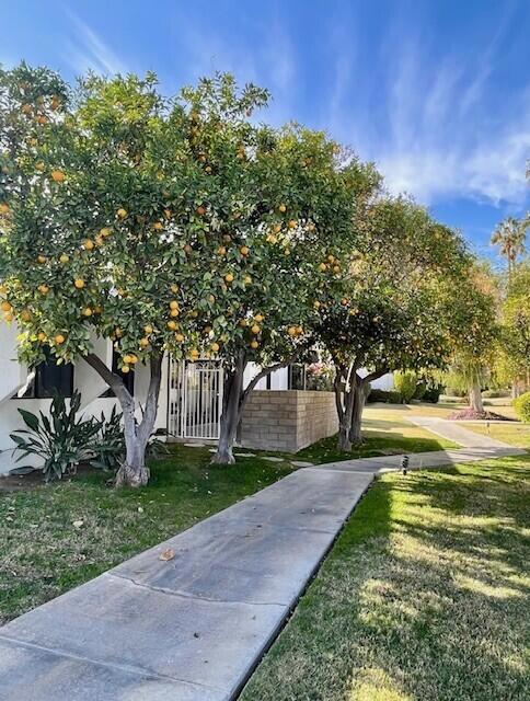 1730 Capri Circle, Palm Springs CA: https://media.crmls.org/mediaz/ca2d69d0-234b-4229-a638-d54965157c17.jpg