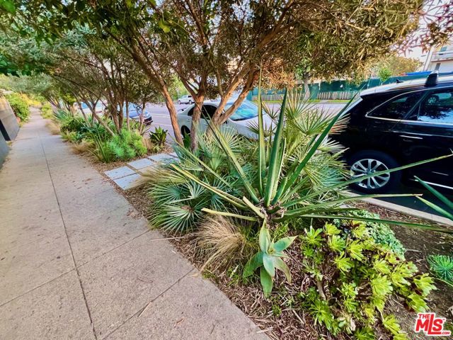 421 Grand Boulevard, Venice CA: https://media.crmls.org/mediaz/ca2d9b76-a6e5-47cd-a69f-c1c8ec4807ba.jpg
