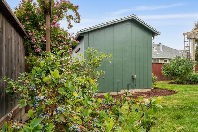 710 Hill Avenue, South San Francisco CA: https://media.crmls.org/mediaz/ca3c7bb3-2480-40aa-80ec-5c6d021e77b8.jpg