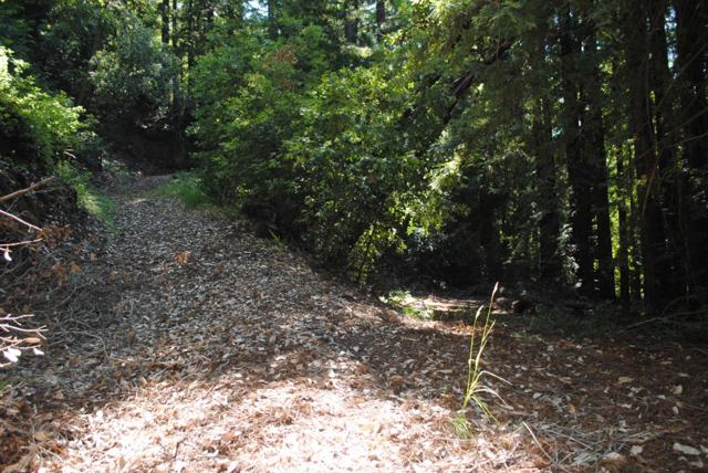 26000 Pierce Road, Los Gatos CA: https://media.crmls.org/mediaz/ca538476-862d-4065-9235-db0dc66826cd.jpg