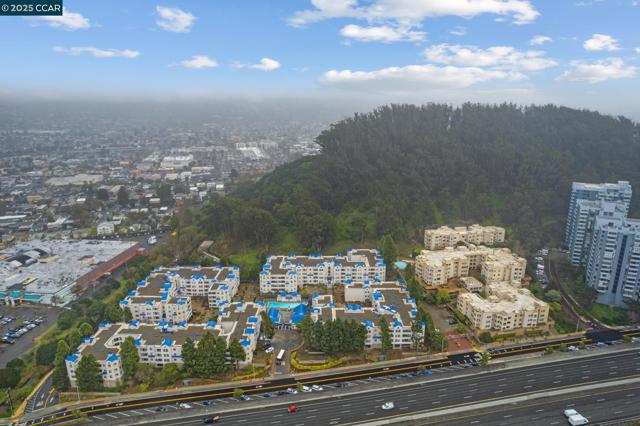 535 Pierce St, Albany CA: https://media.crmls.org/mediaz/ca5cd40f-56b5-4411-b9c6-36b777d67310.jpg
