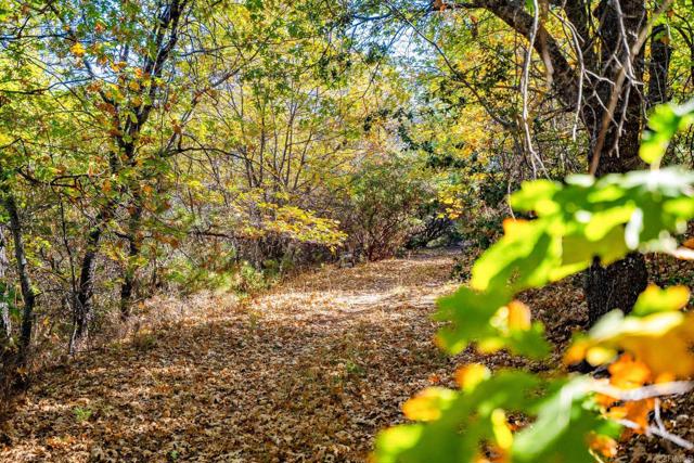 Detail Gallery Image 48 of 54 For 2810 Three Peaks Ln, Julian,  CA 92036 - 3 Beds | 2/1 Baths