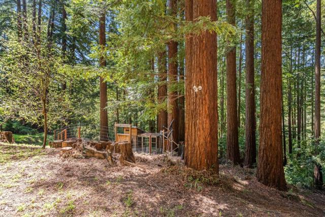 16306 Redwood Lodge Road, Los Gatos CA: https://media.crmls.org/mediaz/ca6e81e3-3084-4065-b655-baf948aeede5.jpg