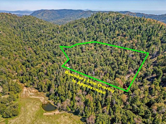 Detail Gallery Image 25 of 30 For 14 +/- Acres Palomar Divide Truck Trl, Palomar Mountain,  CA 92060 - – Beds | – Baths