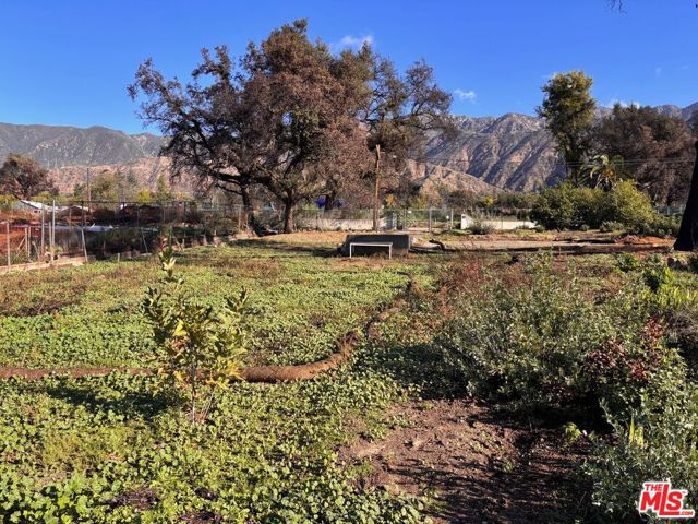 408 Wistaria Place, Altadena CA: https://media.crmls.org/mediaz/ca737464-02cc-4aec-ac2d-65a7741ec3ad.jpg