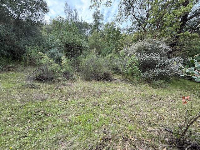 11 Little Uvas Road, Morgan Hill CA: https://media.crmls.org/mediaz/ca7c1ac0-319a-4ca5-ab13-642af057976a.jpg