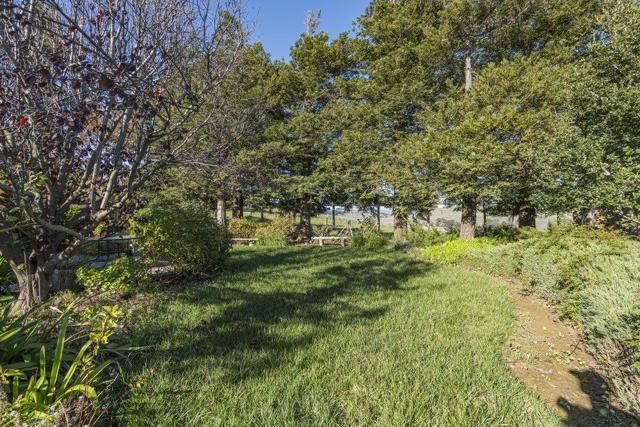 310 Via Vaquero Norte, San Juan Bautista CA: https://media.crmls.org/mediaz/ca83a000-47ff-4e8f-91c7-db8290b455ec.jpg