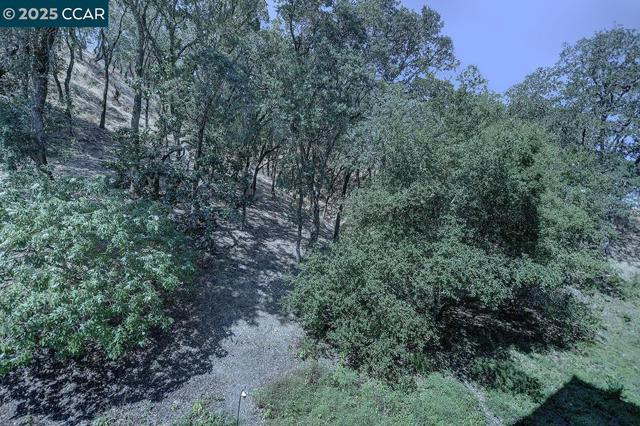 5920 Horsemans Canyon Dr, Walnut Creek CA: https://media.crmls.org/mediaz/ca86e063-1885-4218-be04-30dc57028dc2.jpg