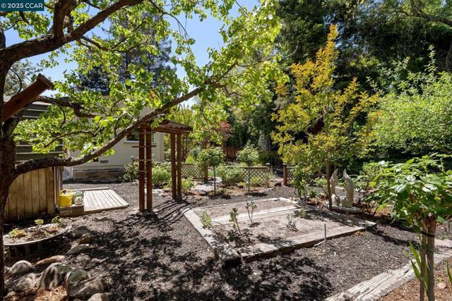 312 Soule Ave, Pleasant Hill CA: https://media.crmls.org/mediaz/ca88704c-ba38-4925-ab47-425f4ab6f1b0.jpg
