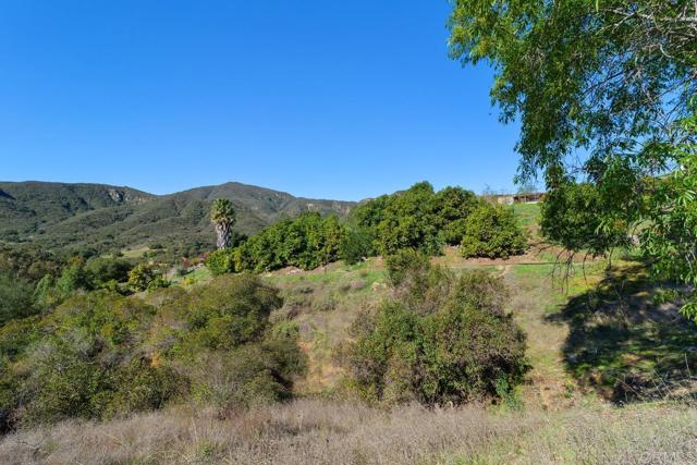 39255 De Luz Rd, Fallbrook CA: https://media.crmls.org/mediaz/ca8c74bd-4a79-4b1d-b61c-5a869a394b92.jpg