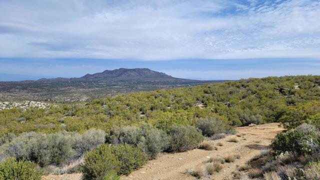 0 Palace Drive, Mountain Center CA: https://media.crmls.org/mediaz/ca8dbc72-a8b5-45d7-96f0-48aa029514af.jpg