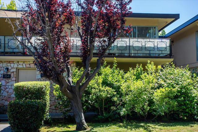 762 University Avenue, Palo Alto CA: https://media.crmls.org/mediaz/ca8ed597-bd9d-4535-aea3-353268230ac3.jpg