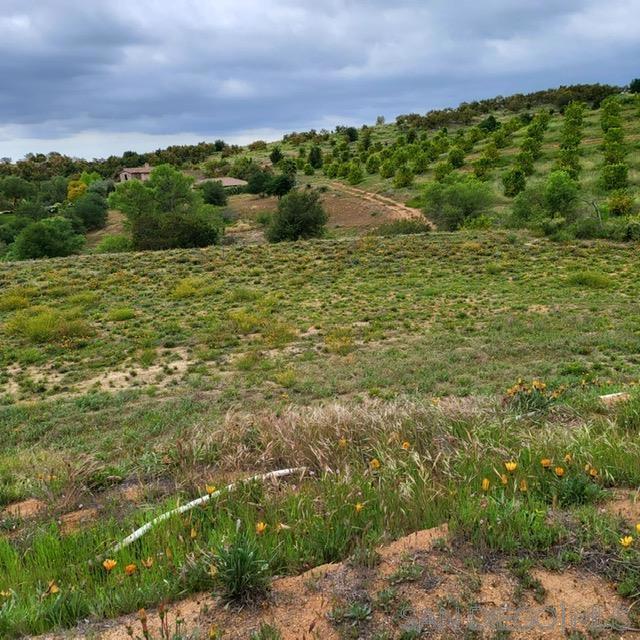 9562 Covey Ln, Escondido CA: https://media.crmls.org/mediaz/ca93ffbc-5c75-4803-a958-6980c370668b.jpg