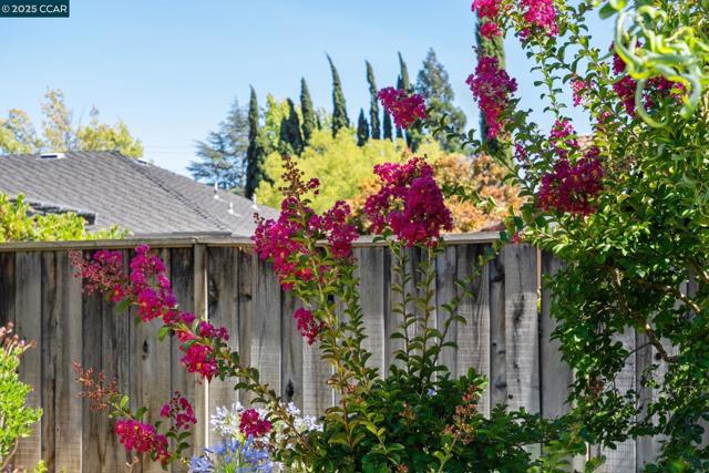 3245 Newport Court, Walnut Creek CA: https://media.crmls.org/mediaz/ca9bf773-a034-4e01-9368-c5ccd54c7d4a.jpg