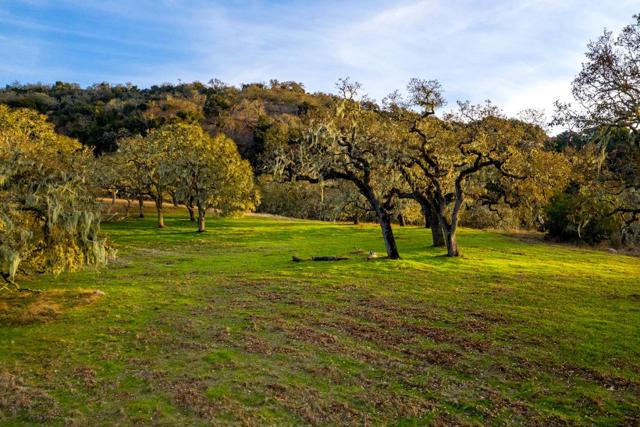 14 Vasquez Trail (Lot 181), Carmel CA: https://media.crmls.org/mediaz/caa34129-026e-40dc-b958-dcf317720788.jpg
