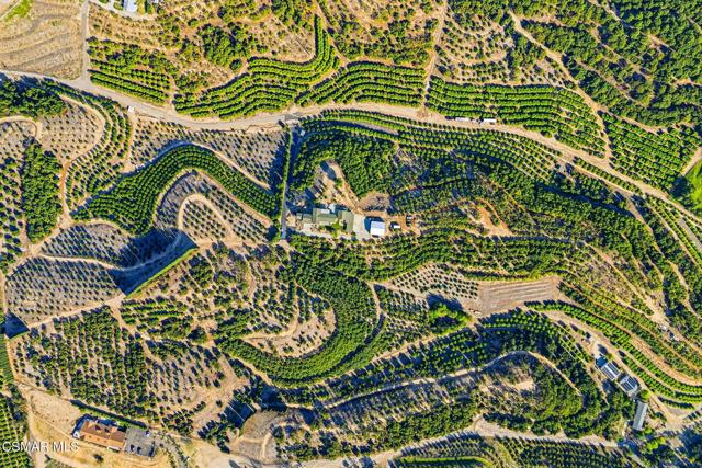 Image 14 of 69 For 6555 Martinique Drive