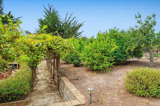390 Heather Point Lane, Watsonville CA: https://media.crmls.org/mediaz/cab69603-ff41-4ff7-aaf8-713292f9c515.jpg