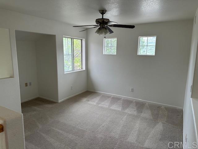 4926 Almondwood Way - photo 12