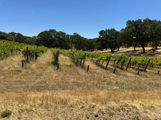 342 Kalthoff Common, Livermore CA: https://media.crmls.org/mediaz/cac079fc-76e3-45ea-b5a6-85e887f425d5.jpg