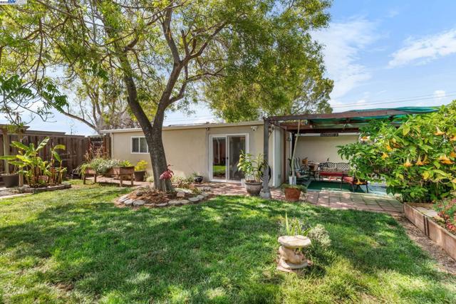 6364 Noel Ave, Newark CA: https://media.crmls.org/mediaz/cace61fb-44c5-49a1-b1f1-cb3b6079ca2e.jpg