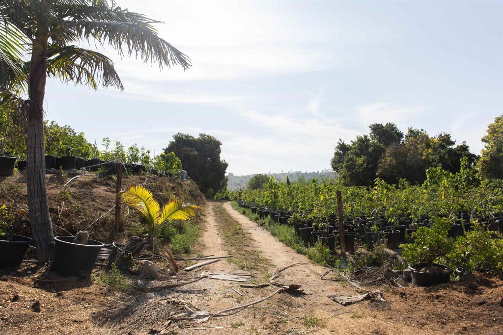 MLS #NDP2505846 image #31