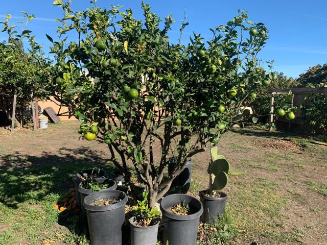 166 Afton Road, Salinas CA: https://media.crmls.org/mediaz/caef75bb-c295-447a-a280-47877145246f.jpg