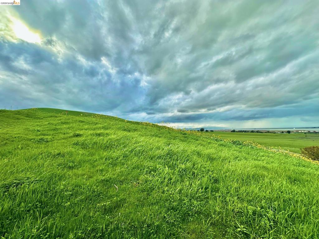 https://media.crmls.org/mediaz/caf56f9d-564c-4d75-81fa-55854752f734.jpg?preset=X-Large