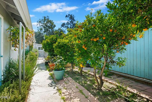 Detail Gallery Image 45 of 59 For 246 Crestwood Ave, Ventura,  CA 93003 - 4 Beds | 2/1 Baths