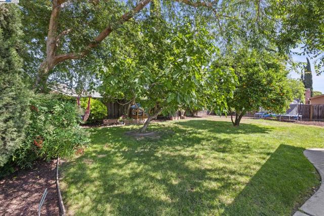 771 Hagemann Dr, Livermore CA: https://media.crmls.org/mediaz/caff6cac-cb57-491b-9284-93c1e11fea6f.jpg