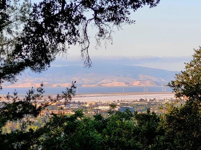 3803 Hamilton Way, Redwood City CA: https://media.crmls.org/mediaz/cb088a9b-d597-4251-b587-633e04d3888a.jpg