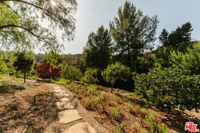 20605 Cheney Drive photo 34