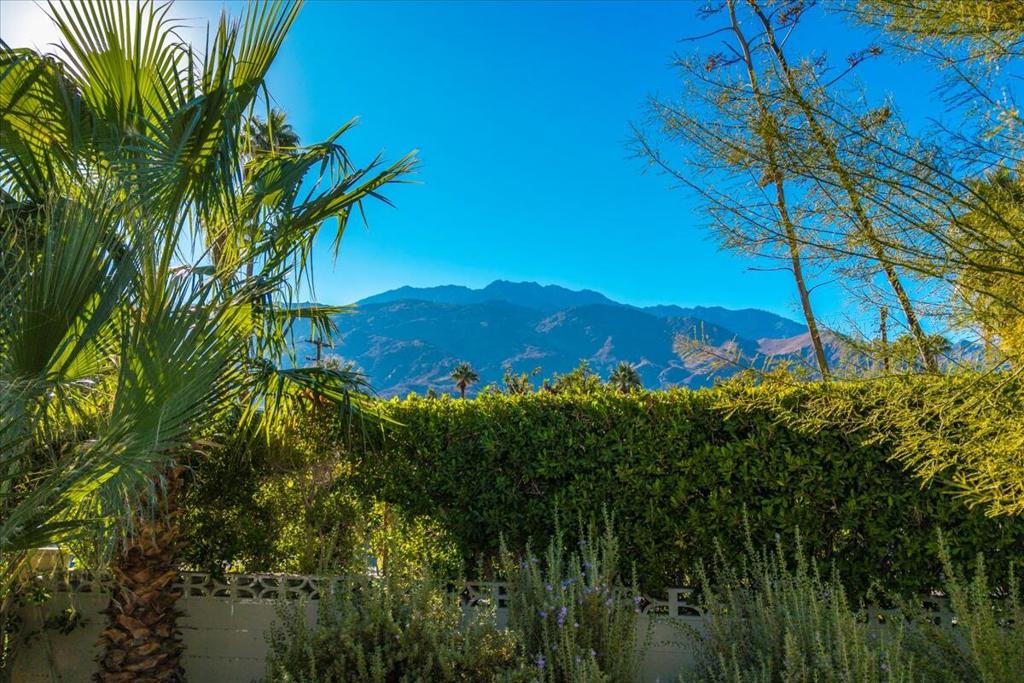 MLS #219138280DA image #11