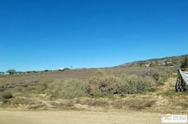 Image 2 of 3 For 0 Spanish Dagger